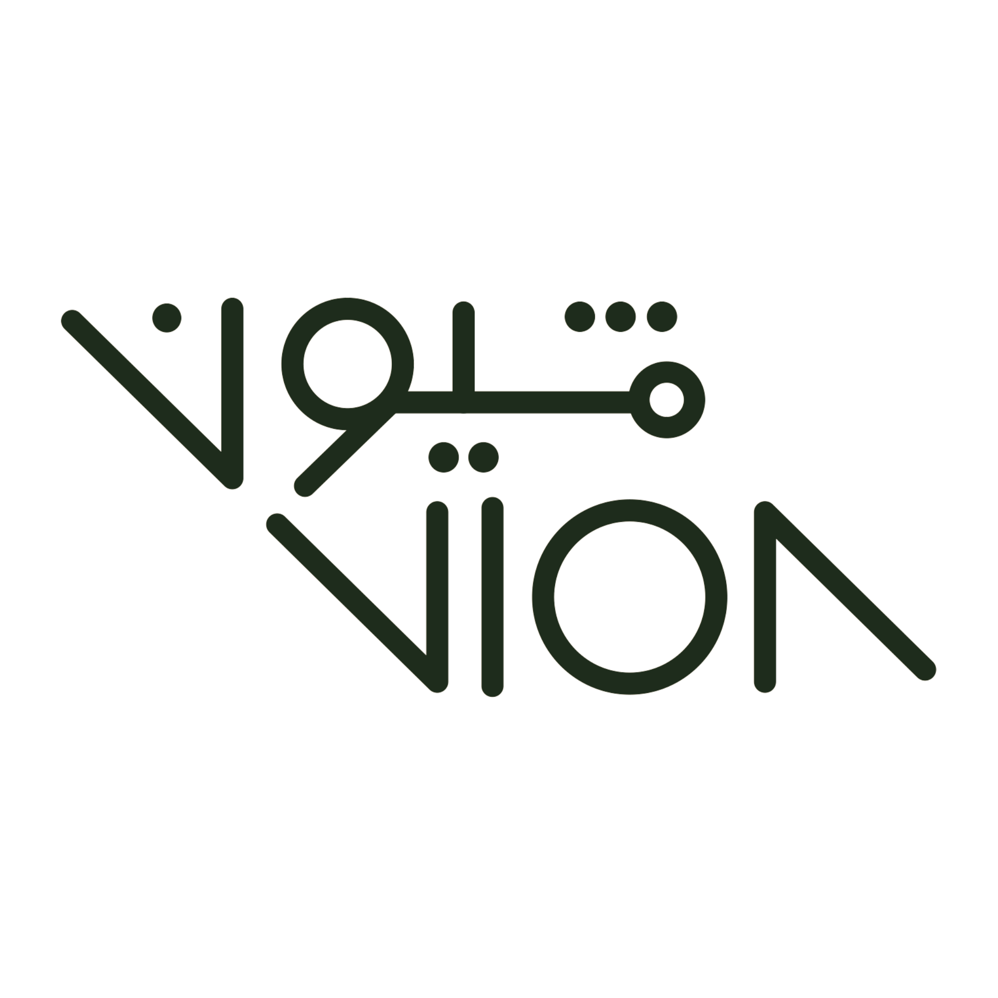 VION